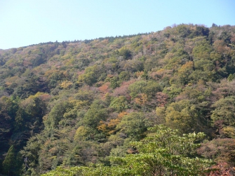 本堂から見える「湯坂山」の景色には、「ほっ～！」と一息つける魅力があります。 絶景を見ながらの坐禅や写経・写仏をご案内しております。